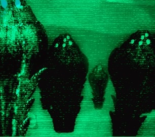 Artefius's tweet photo. These couldn't be rock formations, could they?  They all point upwards like stalagmites #wakingmars http://t.co/d9yBKhY2