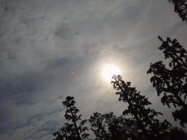 光と影だわ~ http://t.co/7BYPefh7