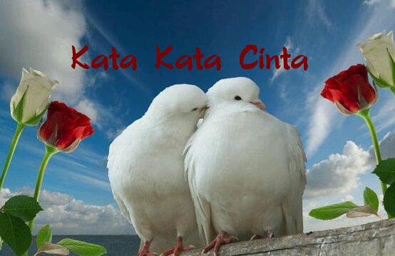 Pangerannn_01's tweet photo. #Mutiara http://t.co/BgtBfUXB