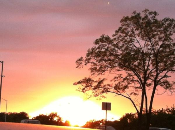 kingvmr's tweet image. #sunsetfunset