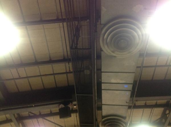 missannielynn's tweet image. My view of the eclipse. #graduationfail