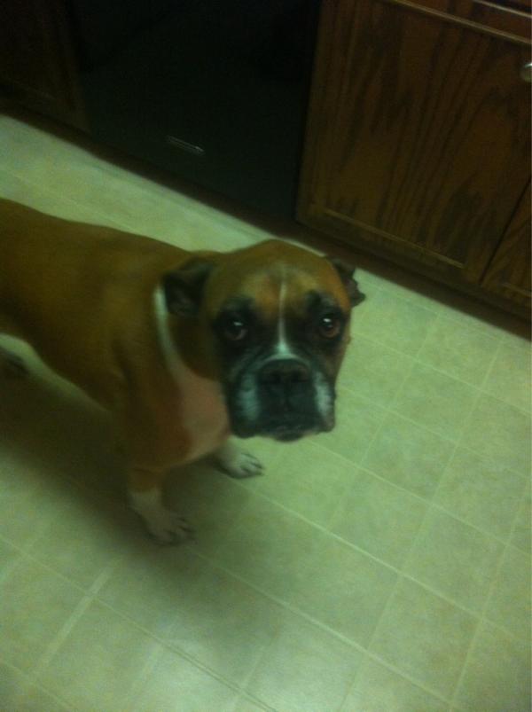 C1Judge's tweet photo. @woodywilco princess Neela says #suck it http://t.co/HaRszCg2
