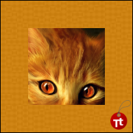 Tipatag tweet picture