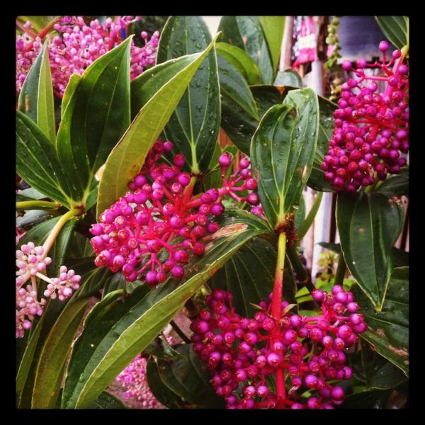 nokfreedom's tweet photo. On the way🌷🌺🍁🌾🌾🌾🌾 http://t.co/U6S7sPrE