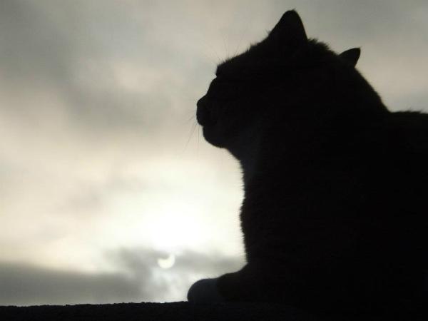 Rusty Jones tweet media