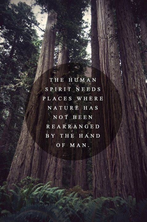 The human race needs...