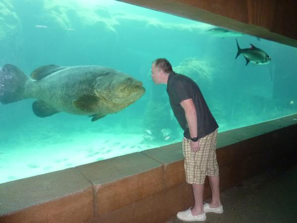 Atlantis on the Bahamas is awesome! No chess this time. One "starring" contest. Result in the next tweet.