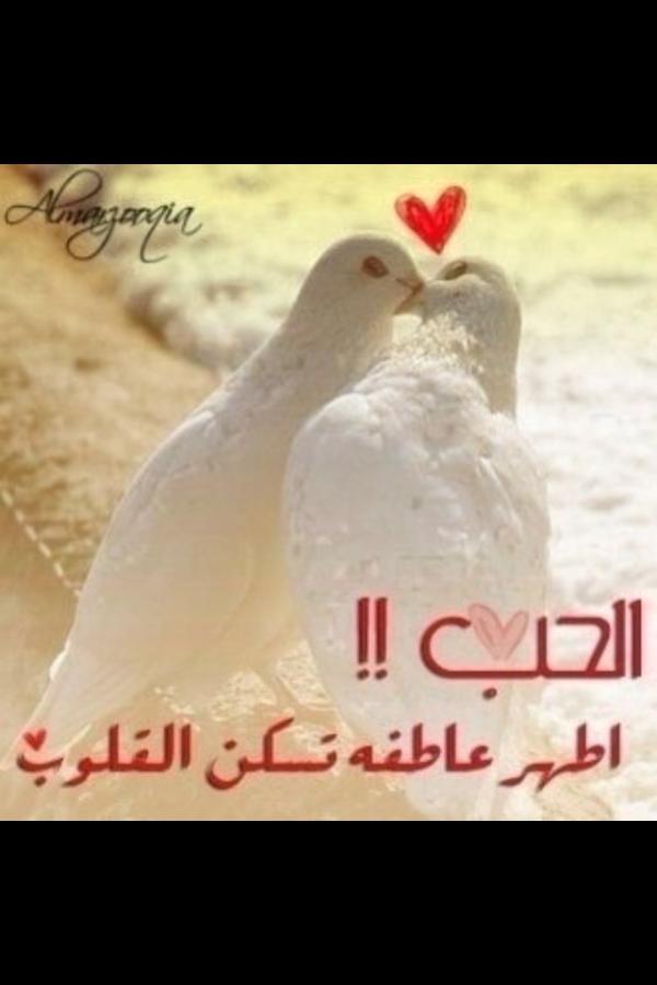 هيفاء شمري tweet media