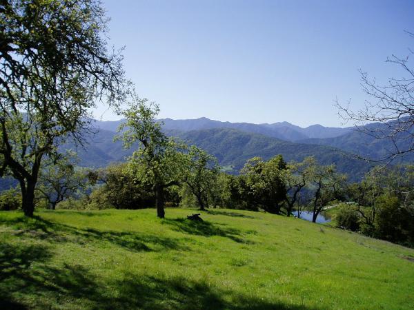 74Asoleado's tweet photo. Prominent view of neighboring pond, back-dropped by the Big Sur mountains and Ventana wilderness. http://t.co/GuHh15H