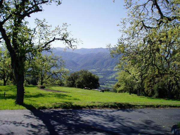 74Asoleado's tweet photo. Newly paved, private road to enter the gated, estate property. http://t.co/apAbIIG