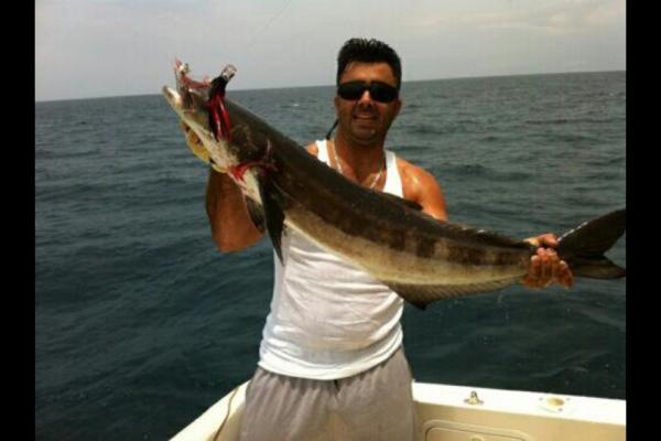 SlimGymRat's tweet photo. My boy caught this nice cobia while it was following turtles. http://t.co/P1b6fHNV