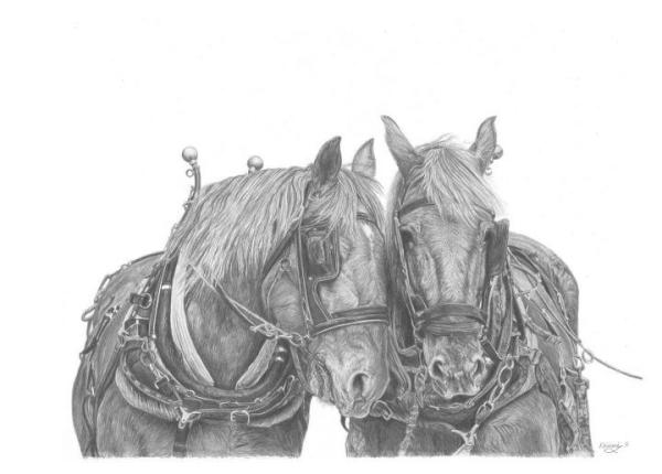 FV_Arts's tweet photo. I will now be doing an art demonstration at the SUFFOLK SHOW in the art exhibition on 8th June all day. Hope u can come http://t.co/2KSgZGLw