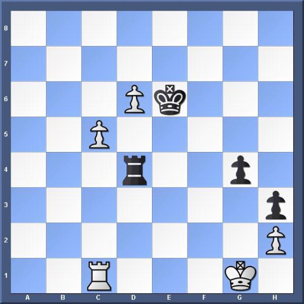 SAUDI CHESS tweet media
