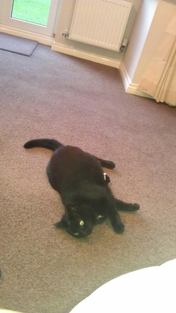 Playing with an envolope with dad