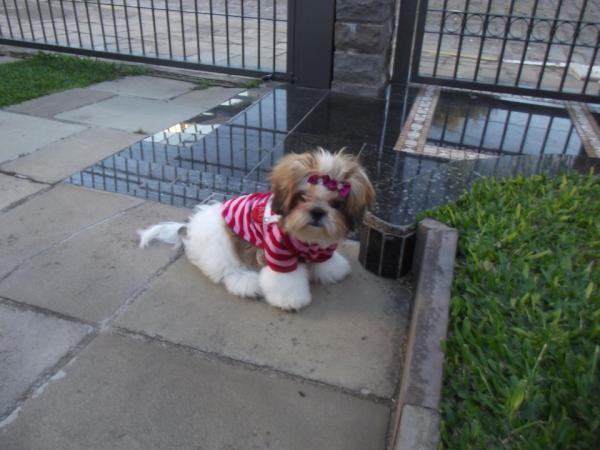 Shaimenezes's tweet photo. kate a pri namorada do atila http://t.co/OAcqvyAg