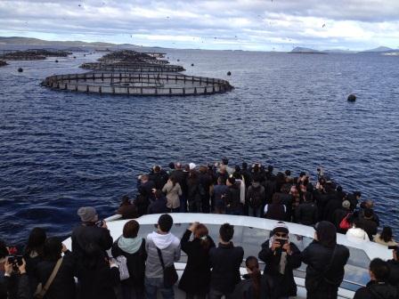 MLABlackbox's tweet photo. The Culinary Challenge finalists are in Hobart and visited D’Entrecastreaux Channel to see salmon farms! http://t.co/Ep0gajyV