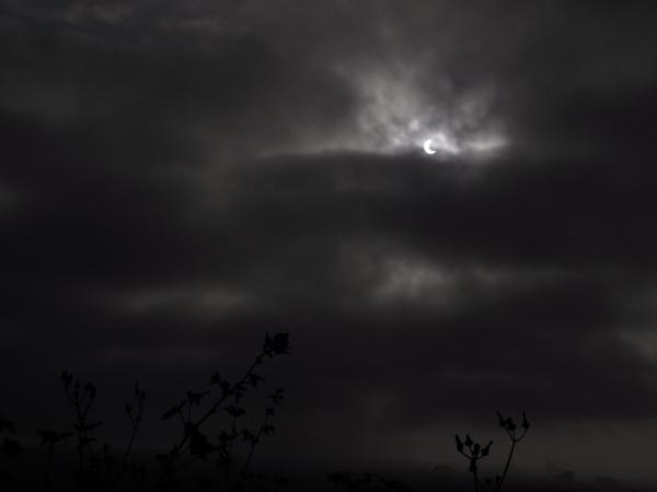 Ryan Hanson tweet media