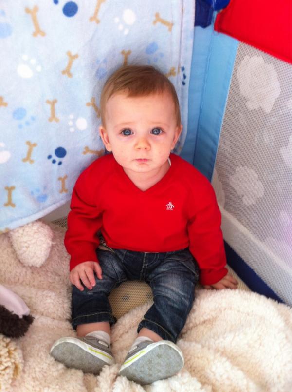 faywilliams2006's tweet photo. Loving alfie in his new penguin jumper...just a shame it makes him look more like someone i rather he didnt look like http://t.co/cBTeNQhs