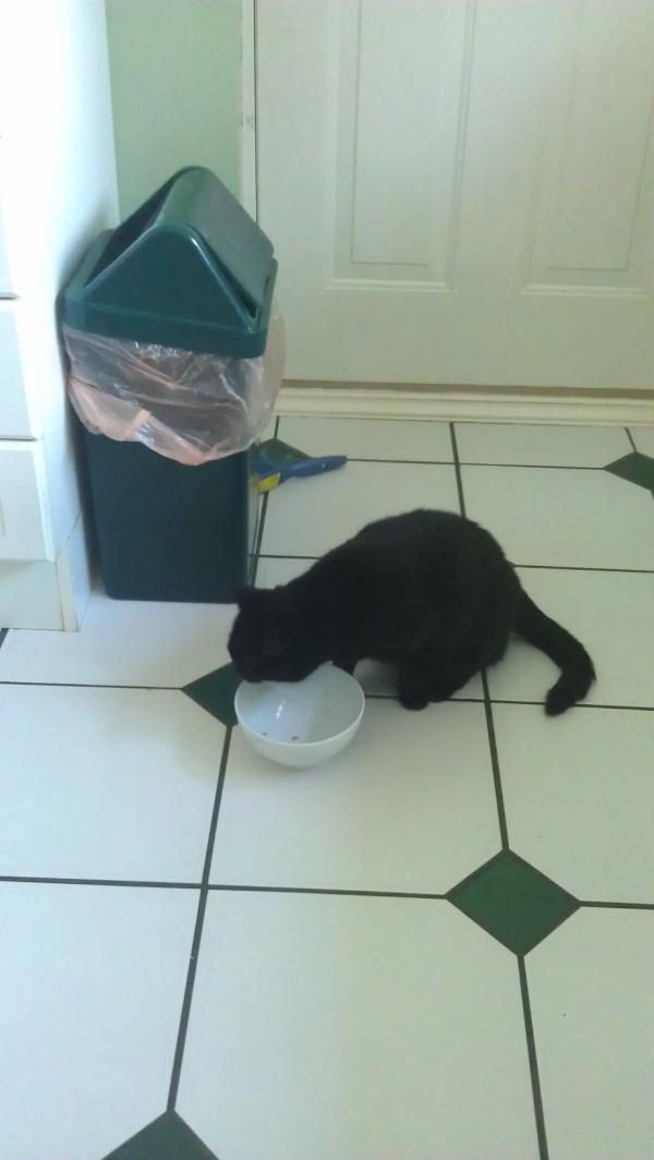 Tuna time thanks sar