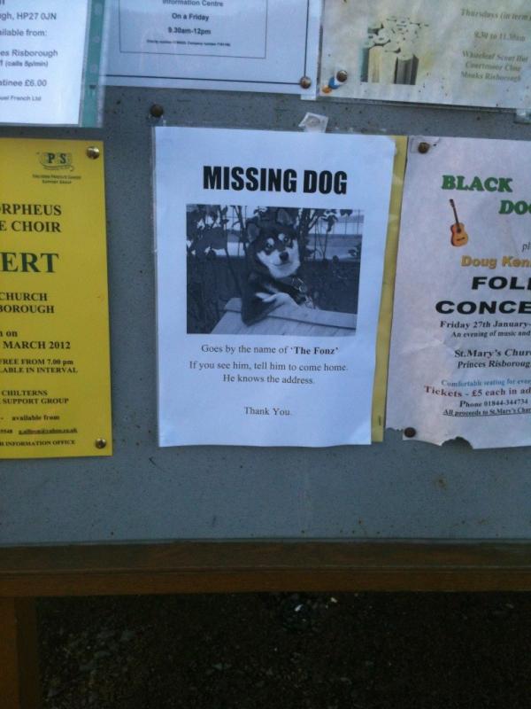 ThePoke's tweet photo. #lostposter http://t.co/EthXIyzs (via @death_stairs)