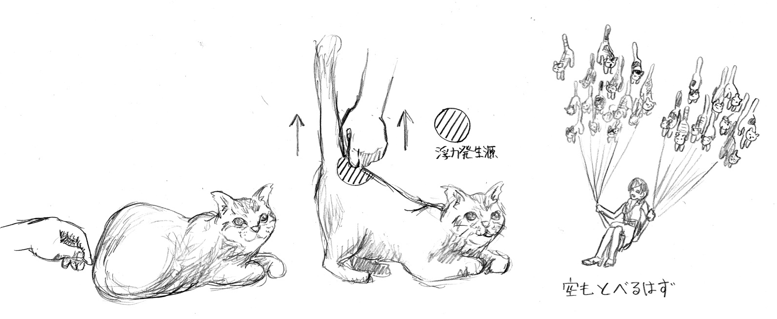 おでこし 金谷 Berryzデスロード در توییتر 猫の尻尾の基部を撫でるとお尻を高く上げるのを知っていますか これは猫のお尻にに 浮力 が発生しているからなのです この現象を利用すれば新しいクリーンでエコな飛行装置が開発される日もそう遠くないかもしれません おでこし 金谷 Berryzデスロード در توییتر 猫の尻尾の基部を撫でるとお尻を高く上げるのを知っていますか これは猫のお尻にに 浮力 が発生しているからなのです この現象を利用すれば新しいクリーンでエコな飛行装置が開発される日もそう遠くないかもしれません