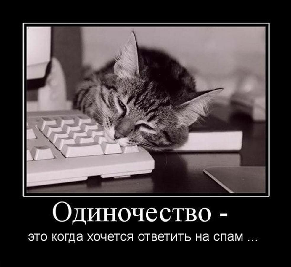 Днем рождения, когда одинок смешная картинка