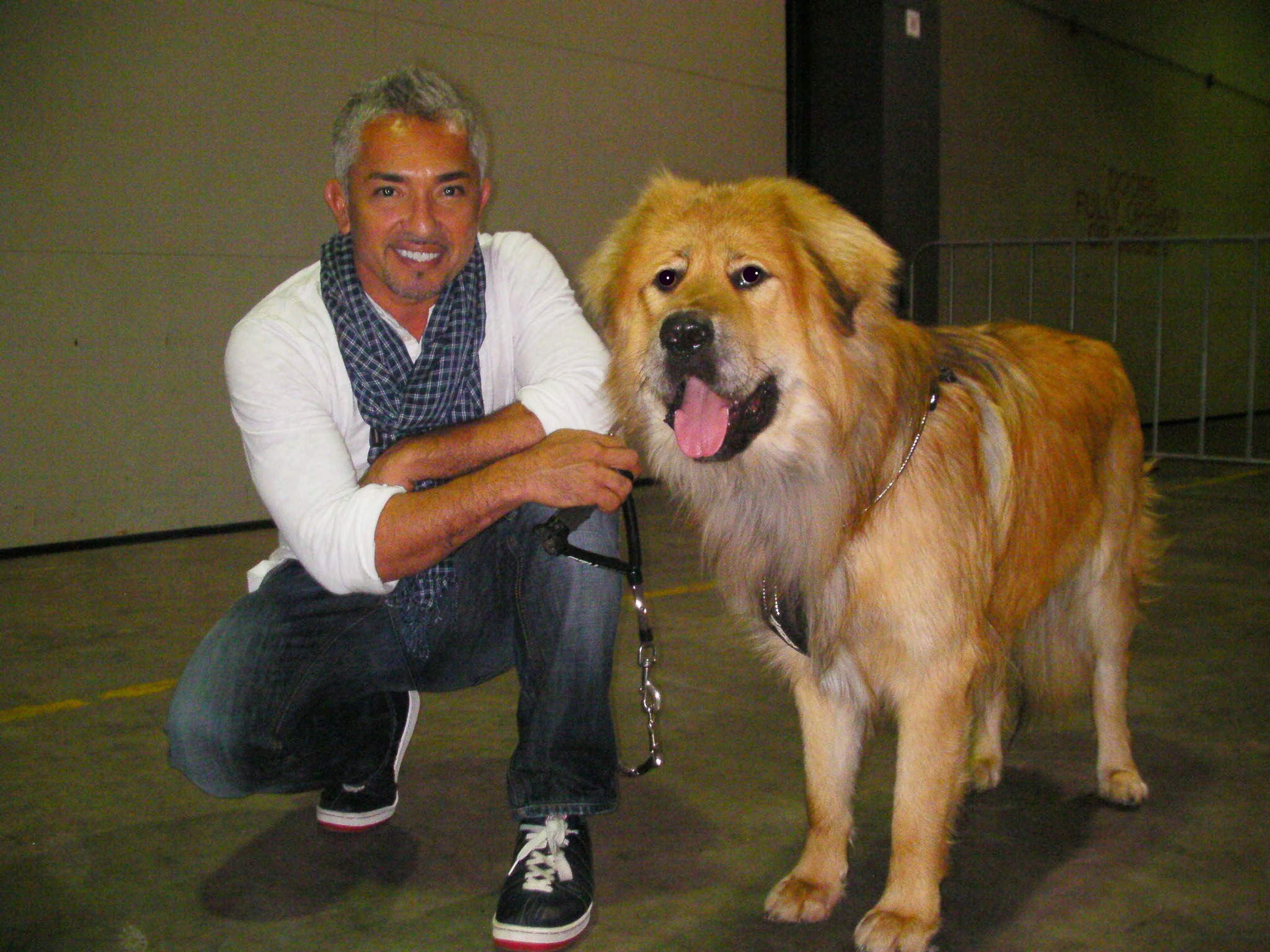 Cesar Millan Auf Twitter Here I Am With An Amazing Tibetan Mastiff Find Out More About This Other Rare Breeds Of Dogs Http T Co Xjfeszv7 Http T Co 9b3ja98j
