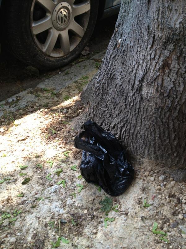 saulshire's tweet image. @pootition full marks for trying, someone bagged this stinker but then the bin was just too much trouble.