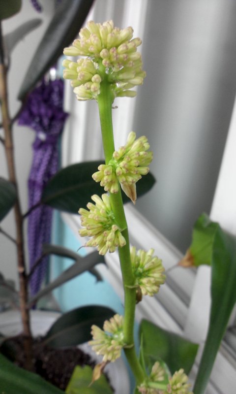 강윤경 (@sunrise9002) on Twitter photo 