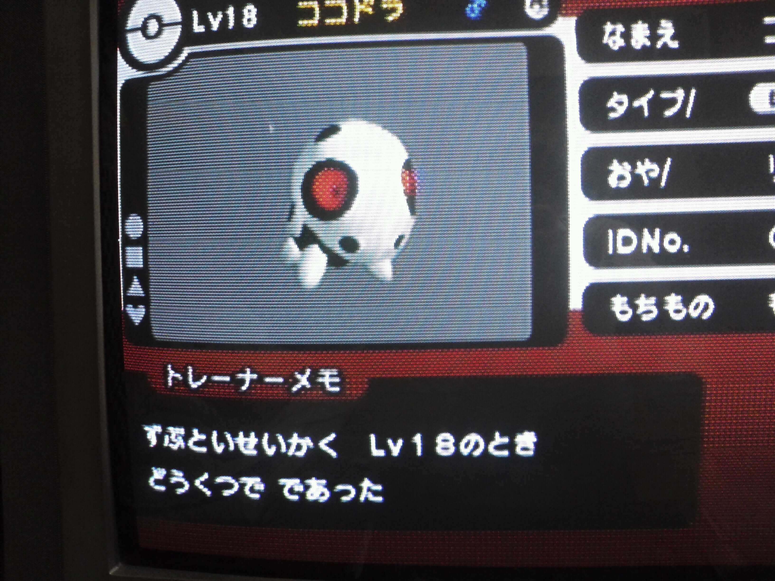 暁 コロナワクチン摂取3回目 ポケモンｘｄで色違いのココドラゲット ずぶといは微妙だが Http T Co Vsnkzsfw Twitter