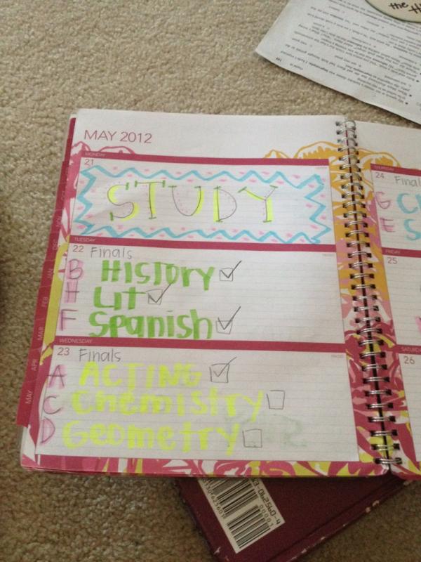 ice_cream_sloan's tweet image. #checkmarks #motivation