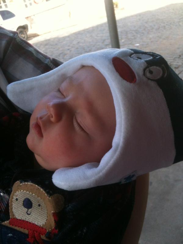 camifrei's tweet photo. @FellipeSantista olha quem veio me visitar http://t.co/u4AlwJ44
