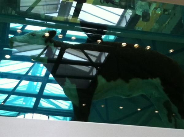 CleverCustard's tweet photo. Suspended cow at @the_tramshed @HixRestaurants http://t.co/9yWU1B3g