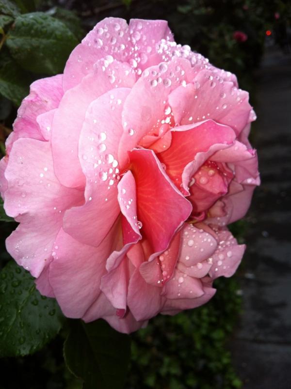 Yelena Yemchuk (@yyemchuk) on Twitter photo 