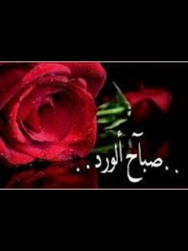 mxcdxs tweet picture