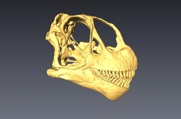 NHMdinolab's tweet image. today in the #progpal poster session David&apos;s Camarasaurus reconstruction will have its first outing- sneak peak below