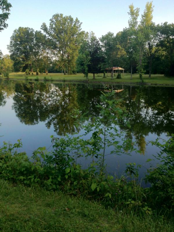 OneSimpleJamie's tweet image. We've gotten really lucky in the campgrounds we found on this trip #303030