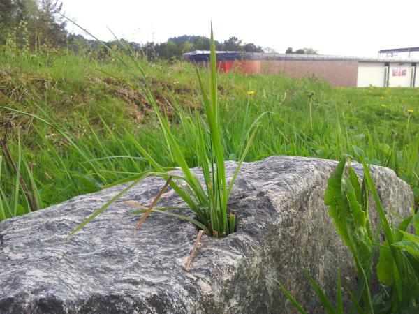 Where there is a will, there is a way to make it.