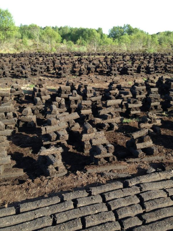 No better place to be on an evenin like this #bog