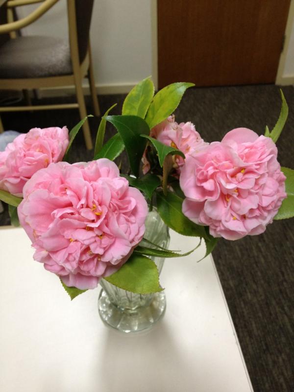 EBONY REYNAUD tweet media