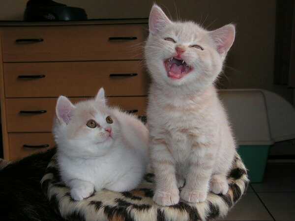 오늘도 즐거운 금요일!
마지막을 멋있게 장식하잨!