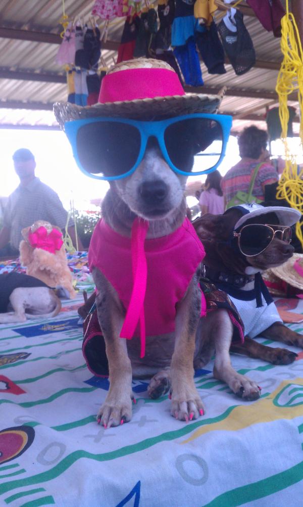 tilirin's tweet image. Hello I'm bck.. and ill like u to meet roxy Speedy's secrets new model