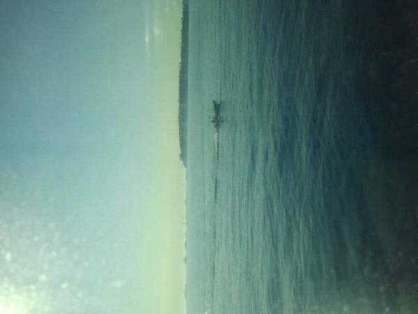 EricDV1962 tweet picture