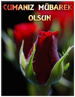 Erkan1Korkmaz's tweet photo. Hayırlı ve Bereketli Cumalar ... http://t.co/nLZgvuzH