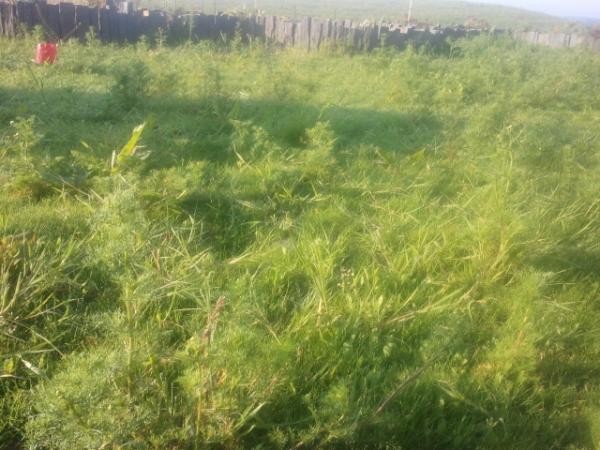 YannickJan's tweet photo. Il est pas beau mon jardin? http://t.co/tHaMfidU