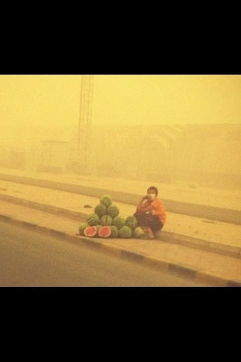 mraumm tweet picture