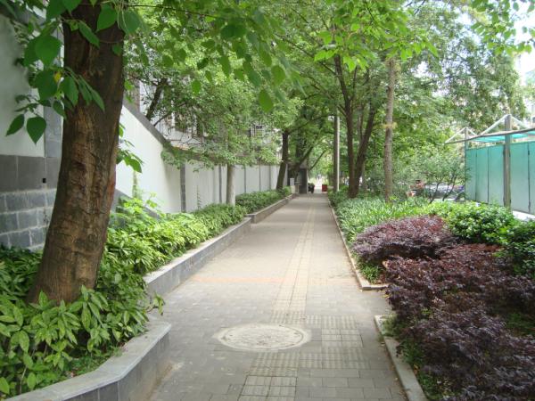 JuneLiuSYD's tweet photo. 小区绿荫如盖。 http://t.co/cec8wGVY