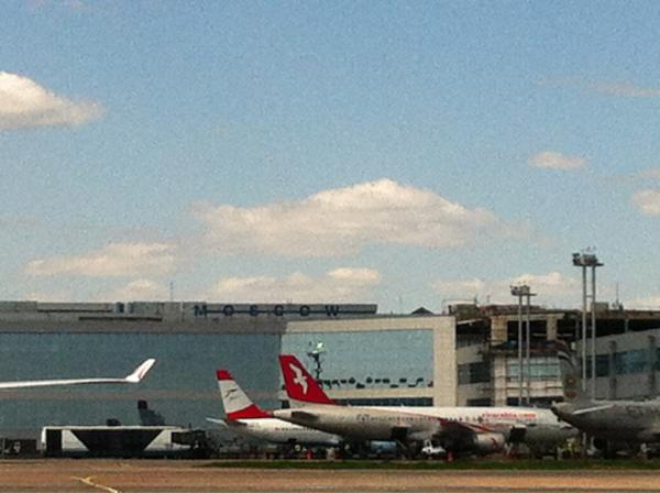 V_Vasilchenko's tweet image. #аэропортДомодедово