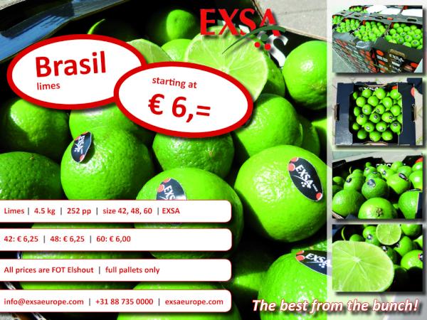 Exsa tweet media