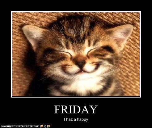 happy friday funny cat